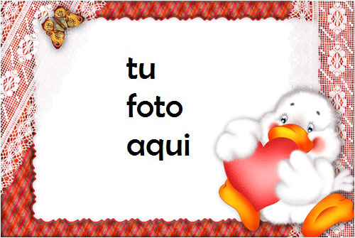 Amor Patos Con Un Gran Corazón Rojo Marco Para Foto - Amor Patos Con Un Gran Corazón Rojo Marco Para Foto