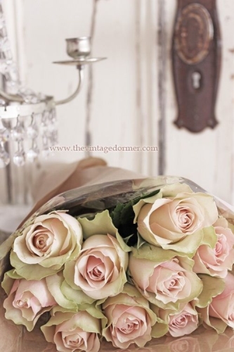 Escribir En Foto Imagen del ramo de rosas blancas más hermoso para el día de San Valentín 1 - Escribir En Foto Imagen del ramo de rosas blancas más hermoso para el día de San Valentín