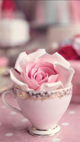 Escribir En Foto La imagen rosa más hermosa de los amantes. 1 - Escribir En Foto La imagen rosa más hermosa de los amantes.