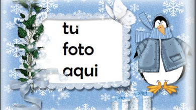 Patos De Invierno Y Nieve Marcos Para Foto 390x220 - Patos De Invierno Y Nieve Marcos Para Foto