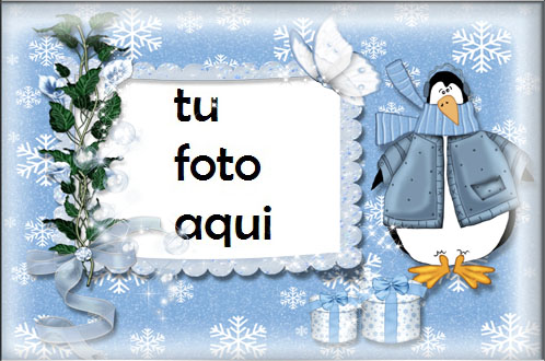 Patos De Invierno Y Nieve Marcos Para Foto - Patos De Invierno Y Nieve Marcos Para Foto