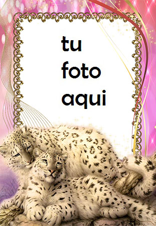 Marco Para Foto Cuadro Con Leopardos De Las Nieves Amor Marcos - Marco Para Foto Cuadro Con Leopardos De Las Nieves Amor Marcos