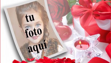 marco de fotos romantico de rosas rojas virgenes 390x220 - marco de fotos romántico de rosas rojas vírgenes