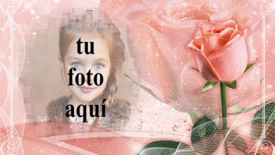 marco romantico rosa con marco de fotos rosa amor rosa 390x220 - marco romántico rosa con marco de fotos rosa amor rosa