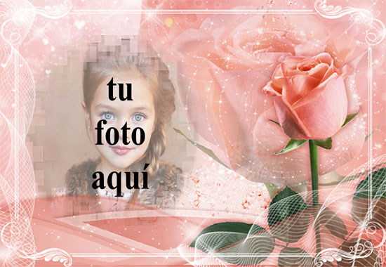 marco romantico rosa con marco de fotos rosa amor rosa - marco romántico rosa con marco de fotos rosa amor rosa