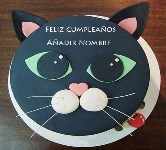 agregar nombre en el pastel de cumpleanos del gato modelo - agregar nombre en el pastel de cumpleaños del gato