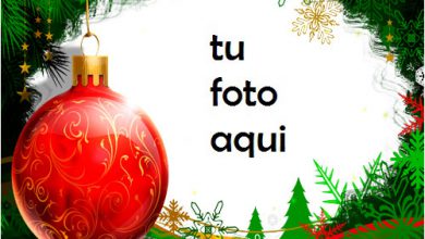 Bola Navidad Roja Con Marco Verde Hermoso Año Nuevo Marco Para Foto 390x220 - Bola Navidad Roja Con Marco Verde Hermoso Año Nuevo Marco Para Foto