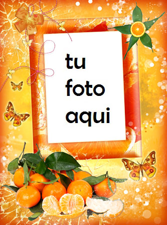 Felicidad Mandarina Marco Para Foto - Felicidad Mandarina Marco Para Foto