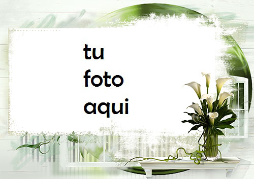 Flores De Loto Blanco Marco Para Foto - Flores De Loto Blanco Marco Para Foto
