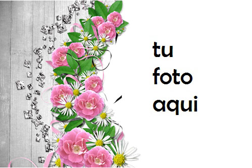 Flores De Mandolina Marco Para Foto - Flores De Mandolina Marco Para Foto