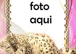 Marco Para Foto Cuadro Con Leopardos De Las Nieves Amor Marcos 311x220 - Marco Para Foto Cuadro Con Leopardos De Las Nieves Amor Marcos