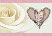 Foto Marcos el corazon de rosa blanca 220x150 - Foto Marcos el corazon de rosa blanca
