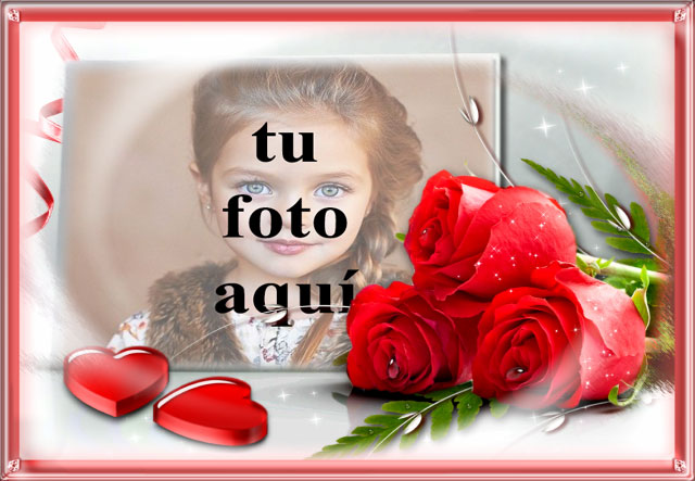Símbolo de flores rojas del amor foto marcos - Símbolo de flores rojas del amor foto marcos
