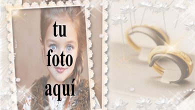 marco de fotos de boda con pequeñas rosas blancas y anillos dorados 390x220 - marco de fotos de boda con pequeñas rosas blancas y anillos dorados