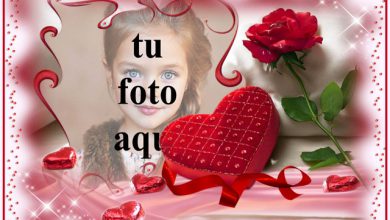 amor romantico marco de fotos de corazon rojo con fondo rosa 390x220 - amor romántico marco de fotos de corazón rojo con fondo rosa