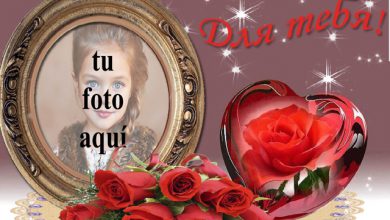 marco de fotos romantico con flor roja dentro del corazon 390x220 - marco de fotos romántico con flor roja dentro del corazón