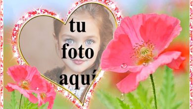 el marco de fotos romantico del jardin de flores rosa 390x220 - el marco de fotos romántico del jardín de flores rosa