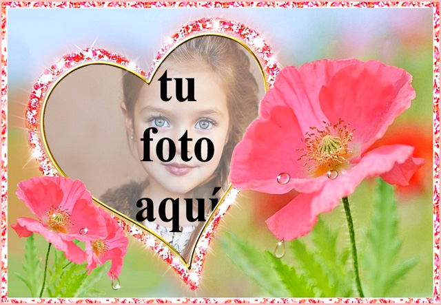 el marco de fotos romantico del jardin de flores rosa - el marco de fotos romántico del jardín de flores rosa