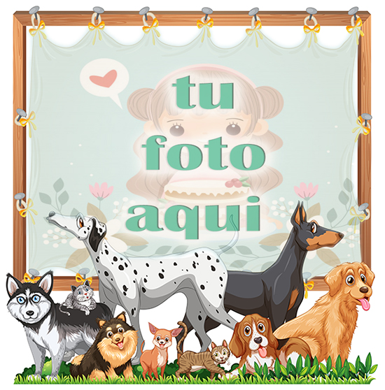 Perros lindos mascotas marcos de fotos - Perros lindos mascotas marcos de fotos